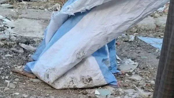 إخلاء سبيل المتهمين في واقعة أجنة المنيا بضمان محل الإقامة