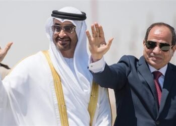 السيسي ورئيس الإمارات يؤكدان دعم التضامن العربي وحل الدولتين لتحقيق السلام بالشرق الأوسط
