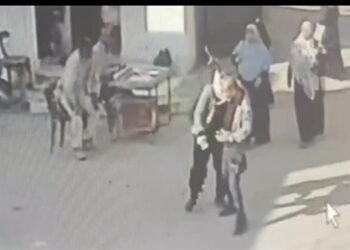 واقعة مثيرة داخل مديرية الزراعة بالغربية.. تحقيق عاجل بعد اعتداء مديرة على موظف