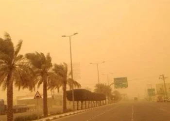 الأرصاد: طقس الإثنين 2 فبراير 2026 بارد صباحًا ودافئ نهارًا مع نشاط رياح