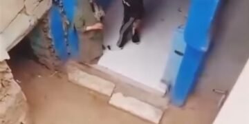 الأمن يفحص فيديو اعتداء شاب على والدته بسلاح أبيض بالقليوبية