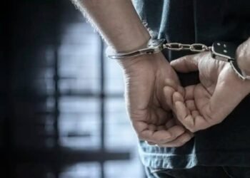 بسبب نصف جنيه.. القبض على حداد بتهمة إنهاء حياة بائع خضار في حدائق القبة