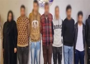 تأجيل محاكمة المتهمين بإجبار شاب على ارتداء ملابس نسائية بميت عاصم لجلسة 27 أبريل