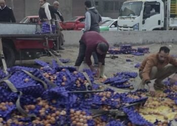 انقلاب سيارة محملة بالبيض على الطريق الزراعي بالبحيرة دون إصابات