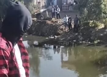 ظهور تمساح بترعة في الشرقية؟.. الجهات المختصة تفحص فيديو متداول