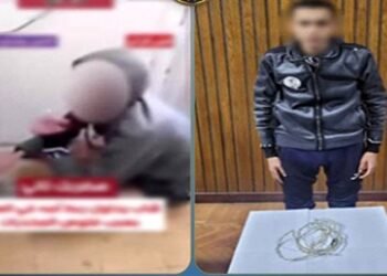 الداخلية تكشف الحقيقة.. ضبط شاب حاول صعق والدته بسلك كهربائي في الإسكندرية