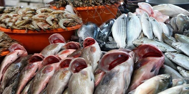 تباين أسعار الأسماك والمأكولات البحرية في سوق العبور الجمعة 27 فبراير 2026