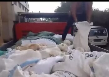 كارثة غذائية في الصف.. ضبط سيارة محمّلة بدواجن نافقة