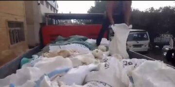 كارثة غذائية في الصف.. ضبط سيارة محمّلة بدواجن نافقة