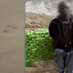 غير متزن نفسيًا.. الداخلية تكشف ملابسات فيديو لشخص يرقص بطريقة غريبة في الشارع بالمهندسين