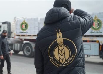 صندوق تحيا مصر وبيت الزكاة يعلنان دخول 780 طن مواد غذائية إلى غزة ضمن القافلة الإنسانية الشاملة