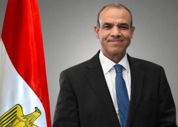 وزير الخارجية يؤكد دعم مصر للتعاون مع الآليات الأفريقية وتعزيز حماية حقوق الإنسان