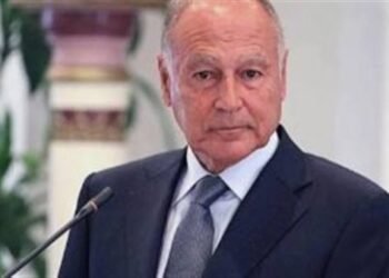 أحمد أبو الغيط ينفي لقاءه بـ إبستين