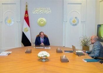 السيسي: تأمين الكهرباء أولوية قصوى لصيف 2026 مع التوسع في الطاقة المتجددة