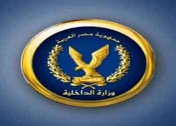 الداخلية تكشف حقيقة فيديو التعدي على صاحبة دار مسنين بالجيزة