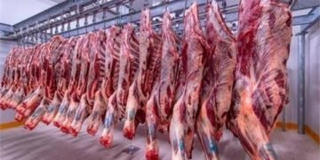 تباين أسعار اللحوم الحمراء في الأسواق اليوم الجمعة