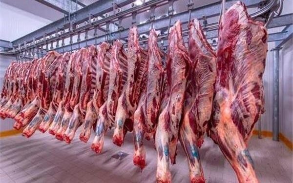 تباين أسعار اللحوم الحمراء في الأسواق اليوم الجمعة