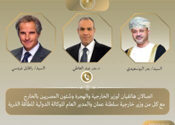 وزير الخارجية: مصر تدعم خفض التصعيد والتوصل لتسوية توافقية للملف النووي الإيراني