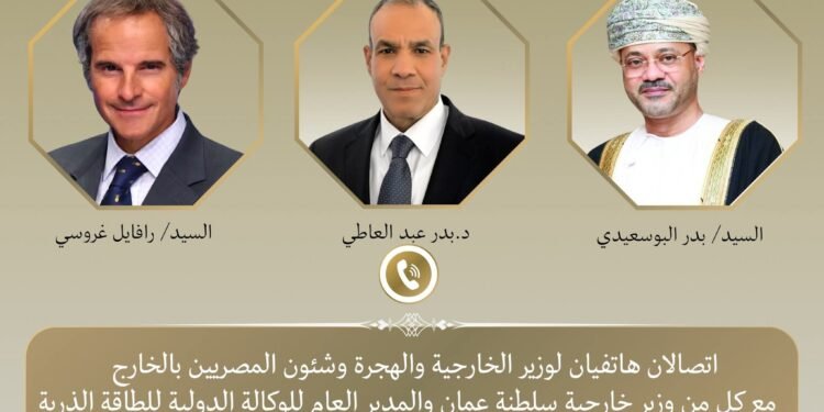 وزير الخارجية: مصر تدعم خفض التصعيد والتوصل لتسوية توافقية للملف النووي الإيراني