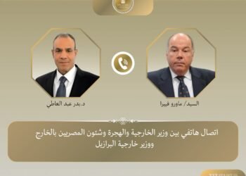 وزير الخارجية: نعمل على فتح أسواق جديدة للمنتجات المصرية في البرازيل