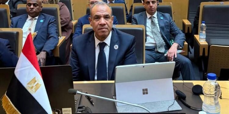 وزير الخارجية يترأس وفد مصر في قمة الاتحاد الأفريقي