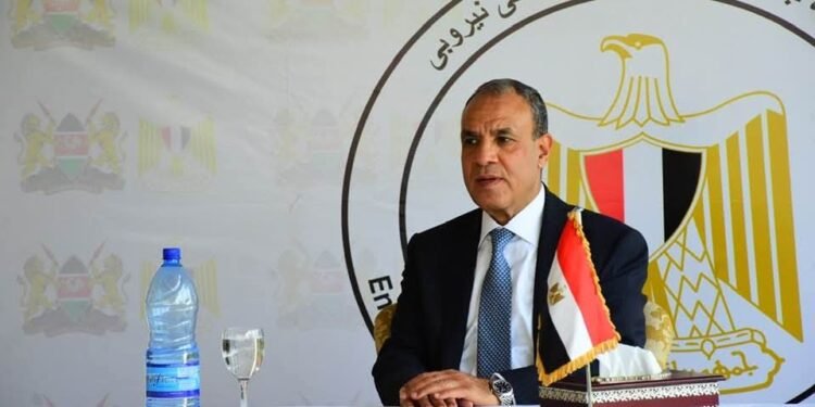 وزير الخارجية: القاعدة الصناعية المصرية قادرة على تلبية احتياجات السوق الكينية