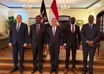 وزير الخارجية: الخبرات المصرية الزراعية والصناعية في خدمة التعاون مع كينيا