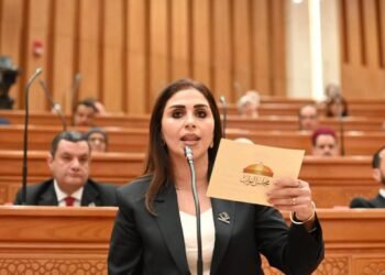 نائبة التنسيقية تطالب بإحكام الرقابة على منظومة الاستيراد بالمحافظات لتيسير التجارة وحماية المستهلك