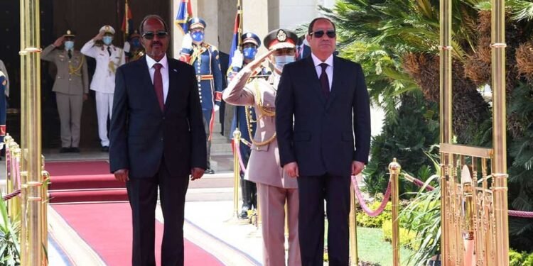 الرئيس السيسي يستقبل نظيره الصومالي اليوم لبحث مستجدات القضايا الإقليمية والدولية