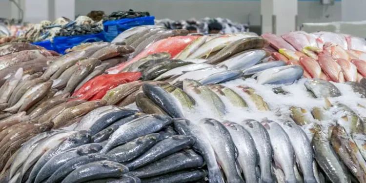 أسعار الأسماك