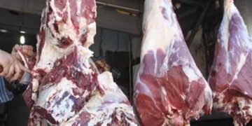 أسعار اللحوم الحمراء..الكندوز يسجل 350 و عرق الفلتو 430 جنيهًا