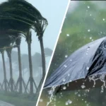 أمطار وانخفاض درجات الحرارة.. الأرصاد تكشف حالة الطقس في مصر الأسبوع المقبل