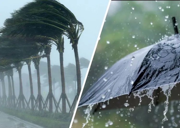 أمطار وانخفاض درجات الحرارة.. الأرصاد تكشف حالة الطقس في مصر الأسبوع المقبل