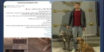 بسبب “فيديو القطة”.. الأمن يضبط عاطلاً حرض كلابه على الفتك بقطة في الإسكندرية