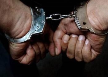 بسبب “دراجة هوائية”.. حجز عامل أصاب 3 أشقاء بسلاح أبيض في الطالبية