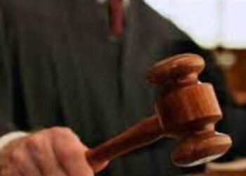 إحالة 6 متهمين في واقعة التعدي على أطفال مدرسة سيدز للغات إلى المفتي