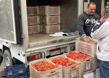 وزارة التموين تضخ سيارات متنقلة لطرح الطماطم بسعر مخفض بالقاهرة