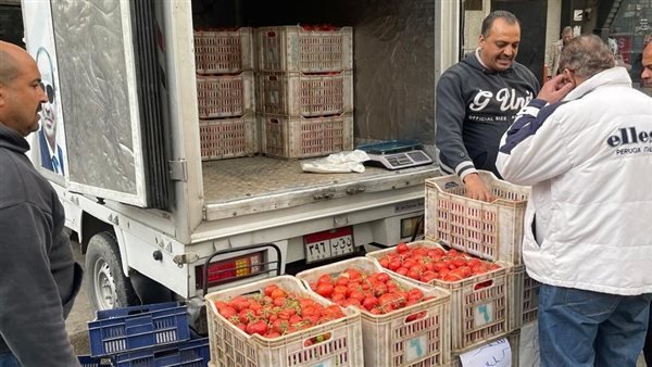 وزارة التموين تضخ سيارات متنقلة لطرح الطماطم بسعر مخفض بالقاهرة