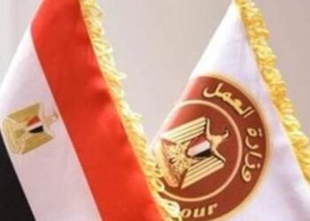 وزارة العمل تعلن عن أكثر من 500 فرصة عمل في 6 محافظات