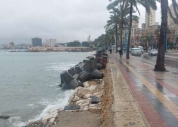 محافظة الإسكندرية تحذر المواطنين من رياح قوية تصل إلى 50 كم/ساعة