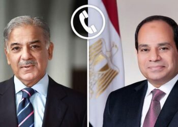 السيسي ورئيس الوزراء الباكستاني يبحثان تعزيز التعاون الإقليمي واحتواء التصعيد