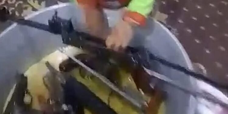 الداخلية تكشف واقعة فيديو طفل ينظف أسلحة نارية في أسيوط