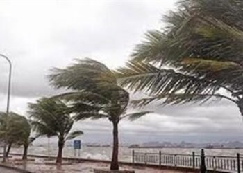 الأرصاد تحذر من تقلبات جوية وأمطار ورياح مثيرة للرمال اليوم الجمعة