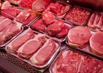 أسعار اللحوم في الأسواق اليوم الأحد.. ارتفاع الضاني وتراجع الكندوز والبتلو