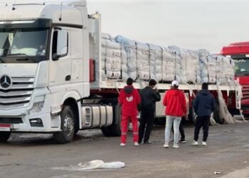 مصر تُعزز دعمها للبنان.. الهلال الأحمر يرسل 1000 طن مساعدات إلى بيروت