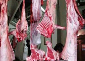 استقرار أسعار اللحوم الحمراء في مصر اليوم الجمعة 13 مارس 2026