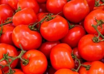 وزارة التموين تطرح الطماطم والسكّر بأسعار مدعمة في منافذ المجمعات الاستهلاكية