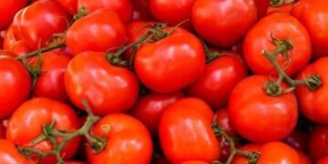 وزارة التموين تطرح الطماطم والسكّر بأسعار مدعمة في منافذ المجمعات الاستهلاكية