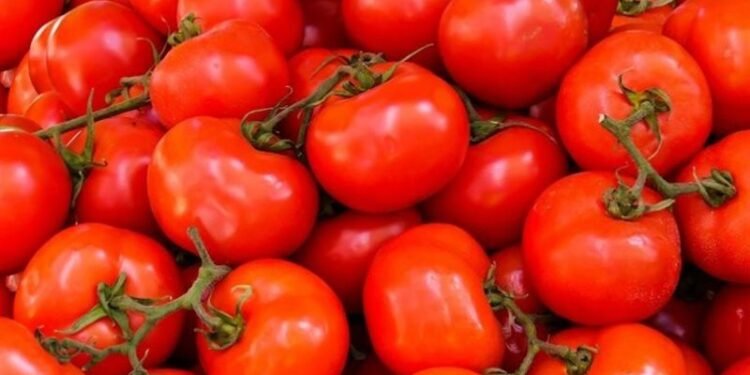 وزارة التموين تطرح الطماطم والسكّر بأسعار مدعمة في منافذ المجمعات الاستهلاكية