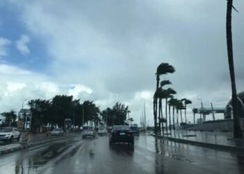 طقس اليوم الثلاثاء.. أجواء باردة صباحًا ودافئة نهارًا وأمطار خفيفة على السواحل